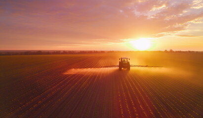 A tractor sprays crops in a vast field at sunset. Farmer's concept with copy space