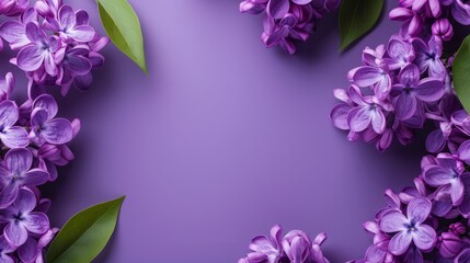 Subtle lavender background creating an elegant canvas ideal for graceful text placement