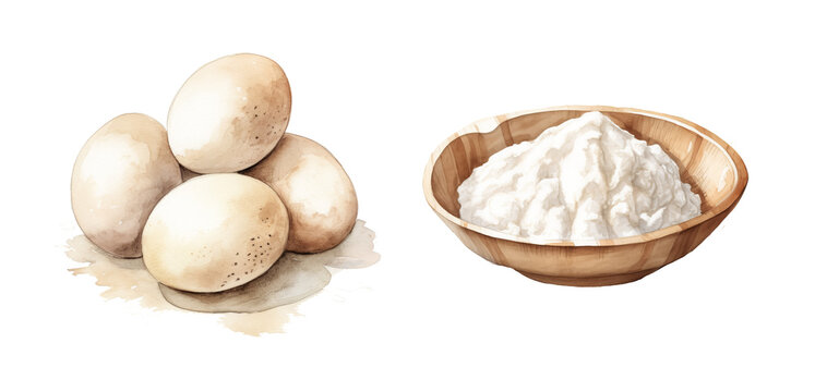 Realistic eggs and flour watercolor art