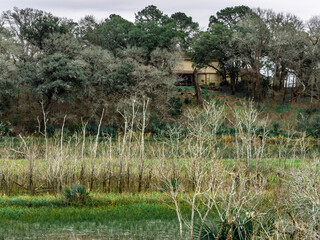 Back yard of a house on a hill