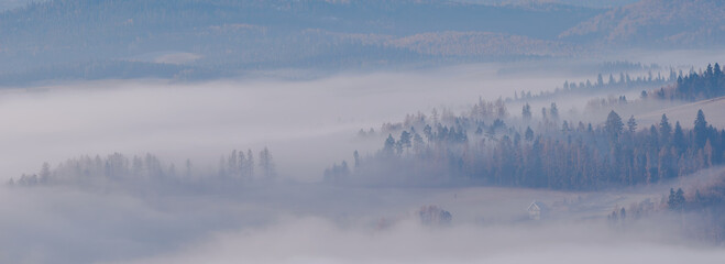 Landscape in the morning. View of the valley shrouded in fog. Slovakia.