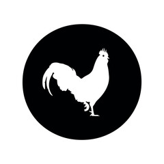 Rooster logo Logo combine with letter O vector template