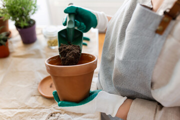 people, gardening and planting concept - close up of woman in gloves with trowel pouring soil to flower pot at home - 759998622