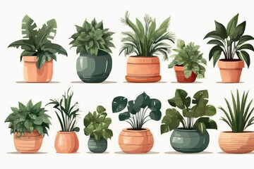 Collection of house indoor house plants monstera, cactus etc. vector pack with green plants in pots clipart