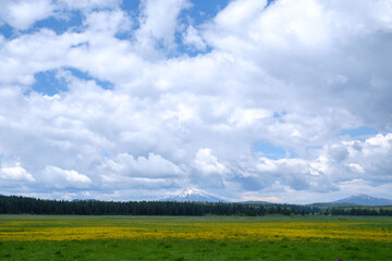 Obraz premium Mount Rainier, Oregon, USA