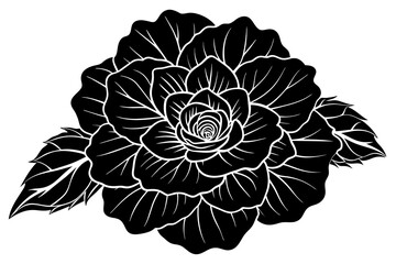 flower vector illustration