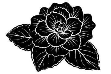 flower vector illustration