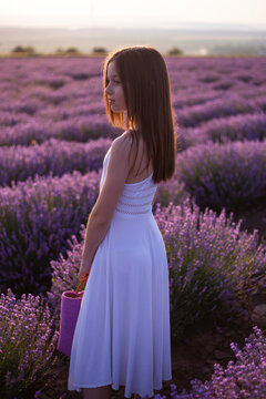 The young girl poses in a field of lavender flowers at greateful sunset.
