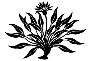 flower vector illustration