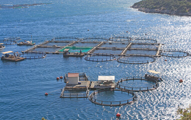 Grèce, pisciculture, ferme aquatique,  dans le Golfe de Corinthe