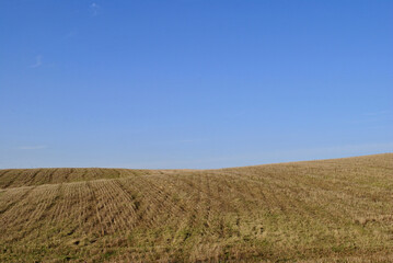 Obraz premium field in spring and sky