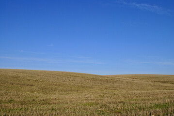 field and sky