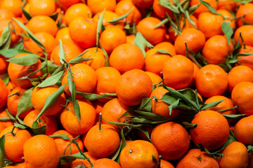 oranges in the market