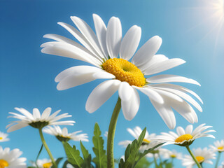 Skyward Grace: A delicate daisy, its white petals a stark contrast against the clear blue sky, reaches for the sun, embodying nature's simple elegance. generative AI