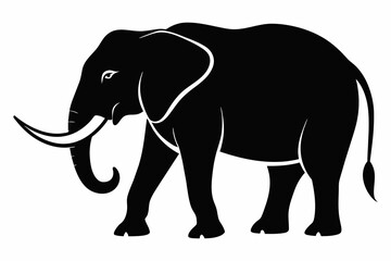silhouette of  elephant on white background
