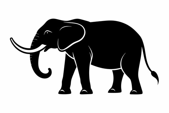 silhouette of  elephant on white background