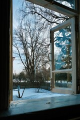 Open Old Window With White Painted Wooden Frame, Garden With Lots Of Snow, Trees Without Leaves, Beginning Of Spring