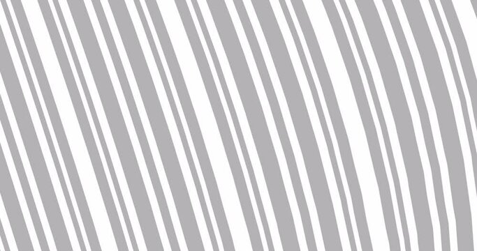Black and white stripes. 3d render video.4k Seamless loop animation.Abstract stripes background.3d render background.