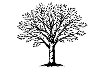 tree vector illustration