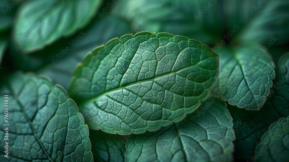 Poster A macro photo of green leaf structure in the background