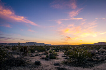Rock formations and boulders in Joshua Tree National Park, California.
