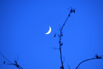 Moon in blue sky