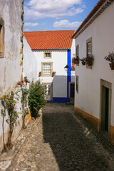 Fototapeta na wymiar Kleine Gasse entlang von alten weißen Häusern in einem kleinen portugiesischen Dorf, mediteranes Flair