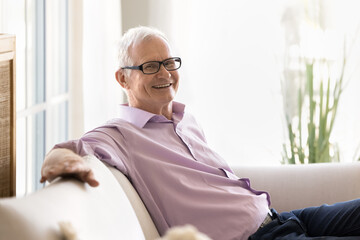 Satisfied retired old man in glasses relaxing on sofa, spending leisure in living room at home,...