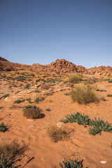 Wadi Rum Desert, Jordan