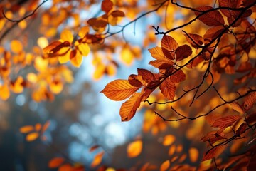 Autumn park fall. Park leaf. Generate Ai - obrazy, fototapety, plakaty