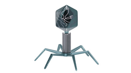 Bacteriophage internal structure 3d rendered icon isolated on transparent background