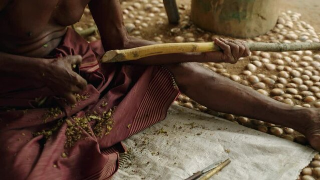 Traditional craftsman peels cinnamon bark in rural workshop. Authentic worker processes spice, sitting on floor. Natural seasoning production, cultural heritage in tropical setting.