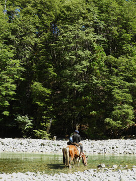 Hombre a caballo atraviesa un rio en la Patagonia