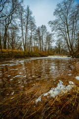 Mała, dzika, nieuregulowana rzeka bezśnieżną zimą. Woda ma ciemnobrązowy kolor. Wokół rośnie wysoki, bezlistny las. Koryto rzeki przecina mały spieniony wodospad. - 760094071
