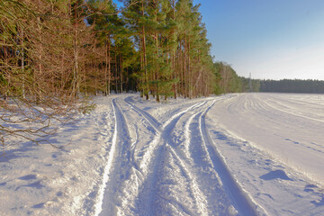 Równina pokryta warstwą śniegu. Jest słoneczny, bezchmurny dzień. W śniegu odciśnięte są ślady kół samochodowych tworzące rozwidlenie, z których lewe skręca do lasu, prawe w okoliczne pola. - 760094639