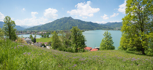 breathtaking springtime panorama, wildflower meadow and view to lake Tegernsee, bavarian alps
