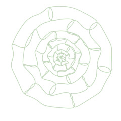 Circular Outline Design