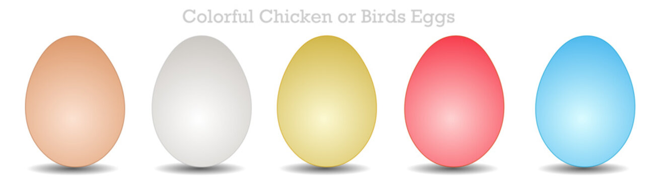 Colorful eggs. Chicken, bird egg pointing, colored egg. Naturally dyed easter eggs. White, brown, blue, yellow, red, gray. Vector illustration