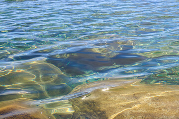 Under the lake beauty awaits 