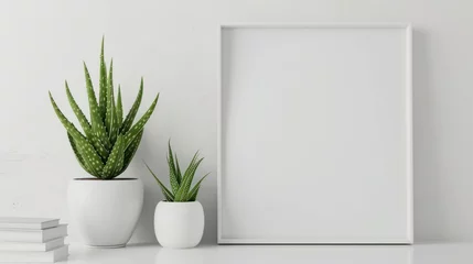 Fotobehang White blank frame for mock up with aloe vera plant o desk isolated white background. AI generated © yusufadi