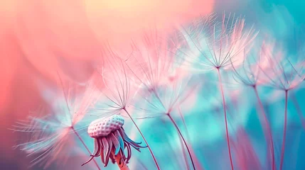 Foto op Plexiglas beautiful flowers in nature in the summer © Aram