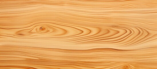 Obraz premium Closeup shot of a hardwood flooring plank, showcasing the beautiful amber and brown grain pattern. The wood stain and varnish highlight the natural landscape design