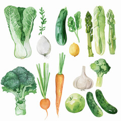 spring vegetables, Clipart set, watercolour texture, simple, plain white background, neutral colour