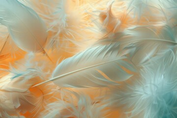 Feathers background with colorful natural, neutral and pastel colors and aesthetic soft style. Fragile and sensitive elements from nature. Beautiful wallpaper with natural texture. Purity and beauty.