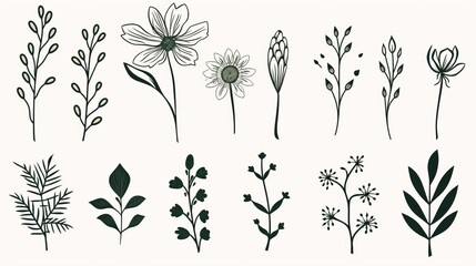 Collection of botanical illustrations with detailed flowers and leaves, hand-drawn in monochrome...