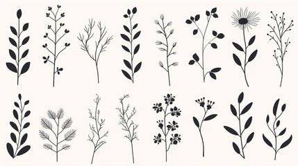 Stylish collection of black botanical illustrations on a white background, suitable for elegant decor and modern designs - obrazy, fototapety, plakaty