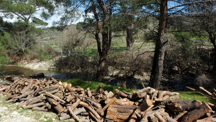 A calmly flowing stream and trees in the mountain