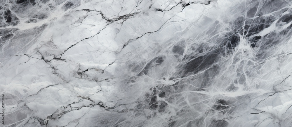 Poster closeup of a marble texture resembling a mixture of snowcovered rock and soil. the monochrome patter