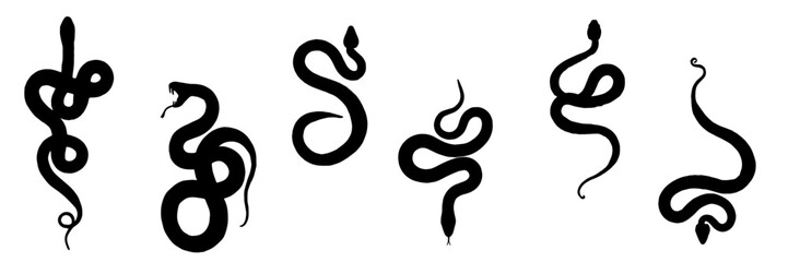 Obraz premium Silhouette of a snake