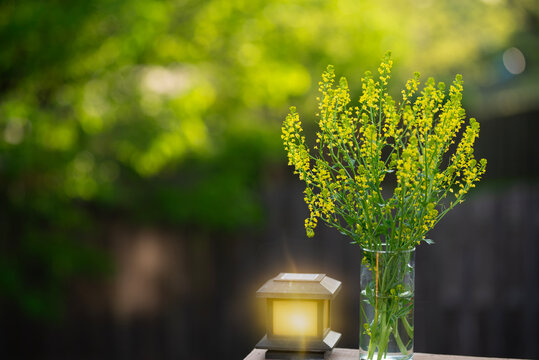 Yellow flowers in the garden in a vase 